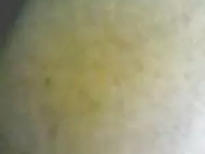 arabc-MOVI00023 kama ...
