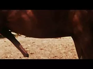 4 plumpers se video  ...